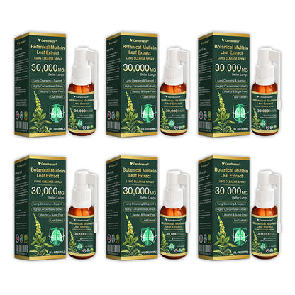 ✅UK Official Store:CareBreeze® Botanical Mullein Leaf Extract Lung Cleanse Spray（👨‍⚕️Directly acts on COPD, asthma, chronic bronchitis (CB), respiratory infections, lung cancer, sinusitis, and other conditions）