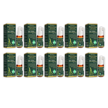 ✅UK Official Store:CareBreeze® Botanical Mullein Leaf Extract Lung Cleanse Spray（👨‍⚕️Directly acts on COPD, asthma, chronic bronchitis (CB), respiratory infections, lung cancer, sinusitis, and other conditions）