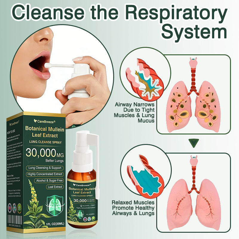 ✅UK Official Store:CareBreeze® Botanical Mullein Leaf Extract Lung Cleanse Spray（👨‍⚕️Directly acts on COPD, asthma, chronic bronchitis (CB), respiratory infections, lung cancer, sinusitis, and other conditions）