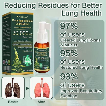 ✅UK Official Store:CareBreeze® Botanical Mullein Leaf Extract Lung Cleanse Spray（👨‍⚕️Directly acts on COPD, asthma, chronic bronchitis (CB), respiratory infections, lung cancer, sinusitis, and other conditions）