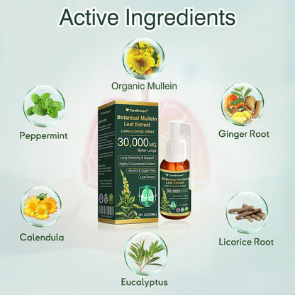 ✅UK Official Store:CareBreeze® Botanical Mullein Leaf Extract Lung Cleanse Spray（👨‍⚕️Directly acts on COPD, asthma, chronic bronchitis (CB), respiratory infections, lung cancer, sinusitis, and other conditions）